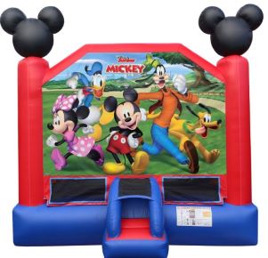 Mickey and Friends Bouncer